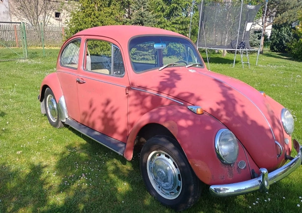 Volkswagen Garbus cena 25900 przebieg: 123400, rok produkcji 1967 z Lublin małe 56
